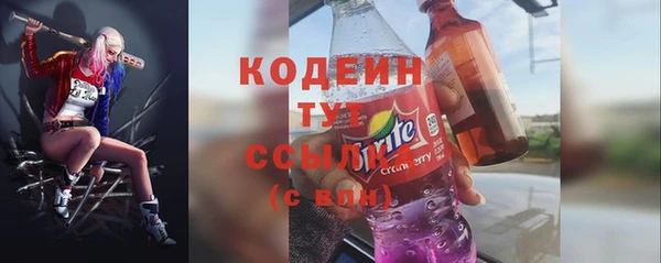 гидра Верхний Тагил