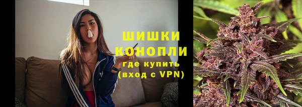 гидра Верхний Тагил