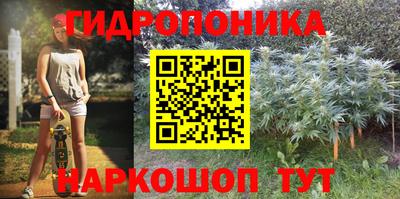 прущие крисы Новозыбков