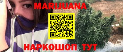 прущие крисы Новозыбков