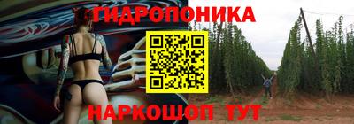 первитин Новодвинск